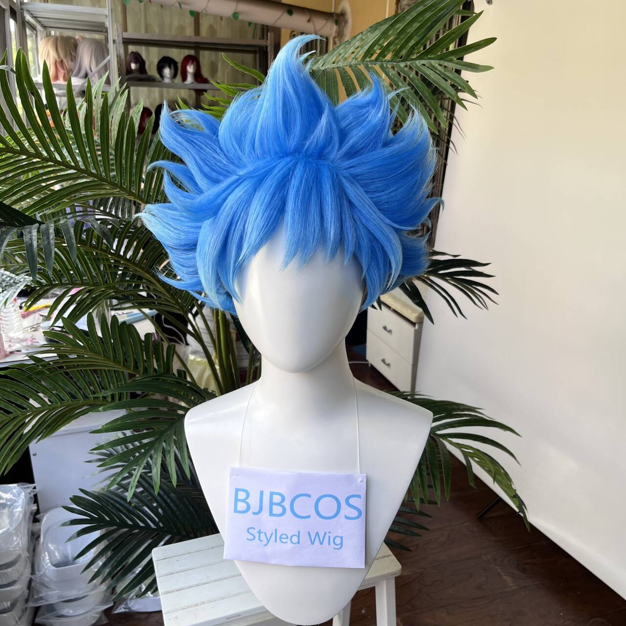 Men'S Accessories Japan - [Styled Wig]Twisted Wig Wonderland Ortho Cosplay