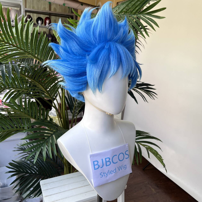 [Styled Wig]Twisted Wig Wonder – Men'S Accessories Japan Bewertung und Preis