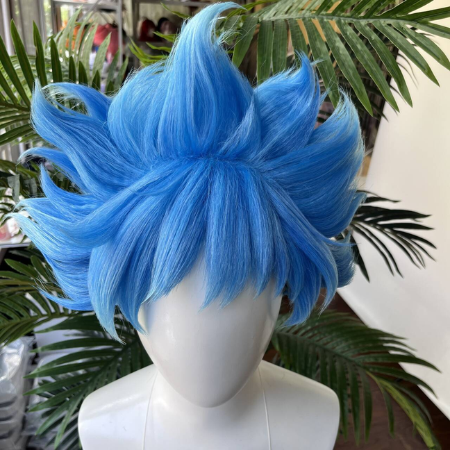 [Styled Wig]Twisted Wig Wonder – Men'S Accessories Japan Bewertung und Preis
